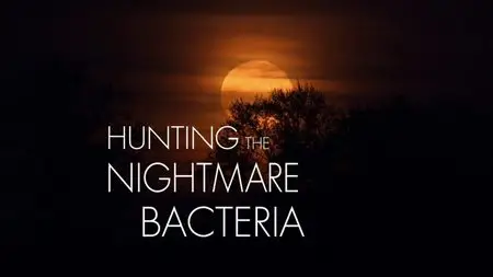 PBS Frontline - Hunting the Nightmare Bacteria (2013)
