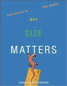 Why Size Matters: From Bacteria to Blue Whales