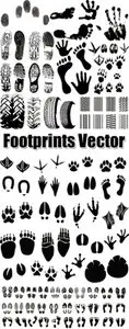 Footprints Vector