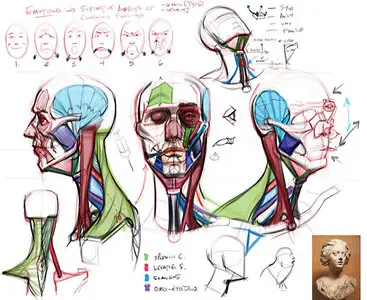 CGMA - Analytical Figure Drawing 2