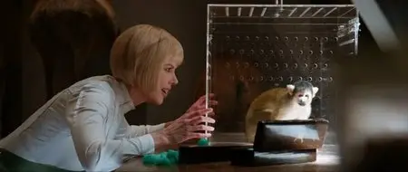 Paddington (2014)