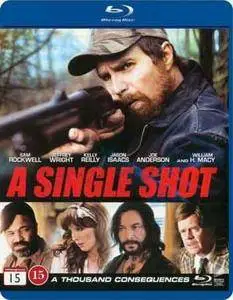 A Single Shot (2013)