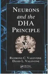 Neurons and the DHA Principle [Repost]