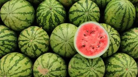 The Ultimate Watermelon Farming Blueprint