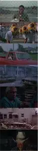 The Day After (1983) [2 Cuts] [w/Commentary]