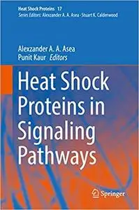Heat Shock Proteins in Signaling Pathways (repost)