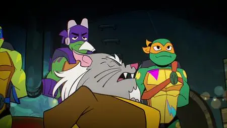 Rise of the Teenage Mutant Ninja Turtles S01E19