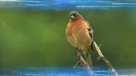 Journey with Dylan Dreyer S02E15