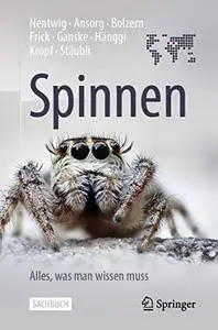 Spinnen - Alles, was man wissen muss