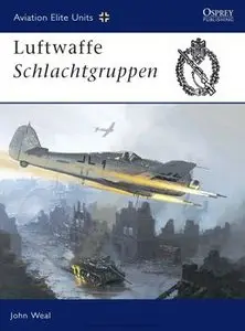 Luftwaffe Schlachtgruppen (Osprey Aviation Elite Units 13) (repost)