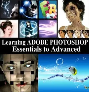 Kelby Training - 6 DVDs for Learning Adobe Photoshop from Essential to Advance Level (2009) (repost)