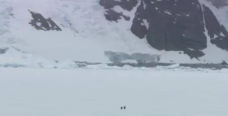 BBC - Our World 2016 The Penguin Watchers