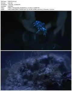 Attenborough's Life That Glows (2016)