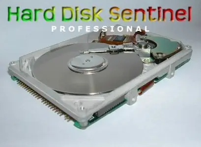 Hard Disk Sentinel Professional v2.81 Build 3083 + Rus