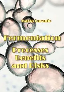 "Fermentation: Processes, Benefits and Risks" ed. by Marta Laranjo