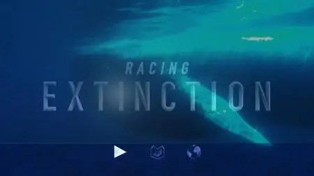 Racing Extinction (2015)