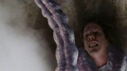 The Mist French DVDRip 2008
