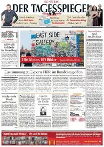 Der Tagesspiegel am Sonntag, 17. März 2013