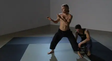 Cameron Shayne - Budokon DVD Set (2007)