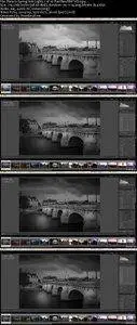 Photoserge - Paris in Spring Training Bundle