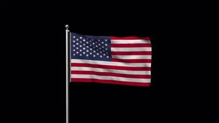 USA Flag On Alpha Channel 1570090