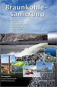Braunkohlesanierung: Grundlagen, Geotechnik, Wasserwirtschaft, Brachflächen, Rekultivierung, Vermarktung (Repost)