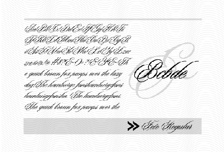 WiltonFoundry Fonts