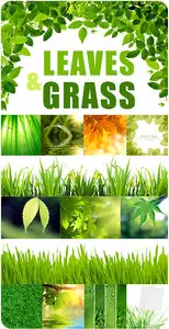Stock Photo - Leaves & Grass