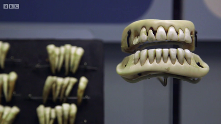BBC - Catching History's Criminals: The Forensics Story (2015)