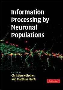 Information Processing by Neuronal Populations