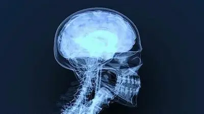 BBC Two - Horizon: Episode 7 of 13 - Is your Brain Male or Female? (2014)