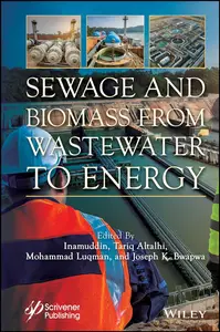 Sewage and Biomass from Wastewater to Energy: Possibilities and Technology