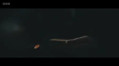 Reunion S01E02