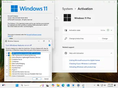 Windows 11 Pro 24H2 Build 26100.4652 (No TPM Required) Preactivated Multilingual July 2025