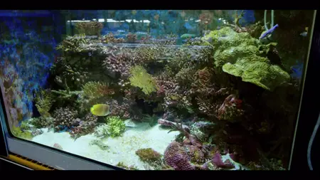 Down to Earth with Zac Efron S02E03