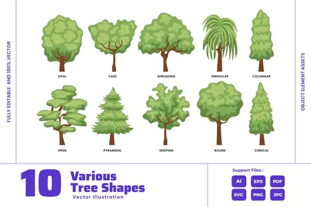 EE - Tree Shapes Types  Natural Environment Biolody 84LRSSH