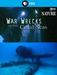 War Wrecks of the Coral Seas (2003)