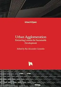 Urban Agglomeration: Extracting Lessons for Sustainable Development