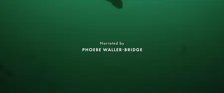 Octopus! S01E01