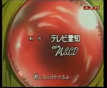 Shin Hakkenden - 22