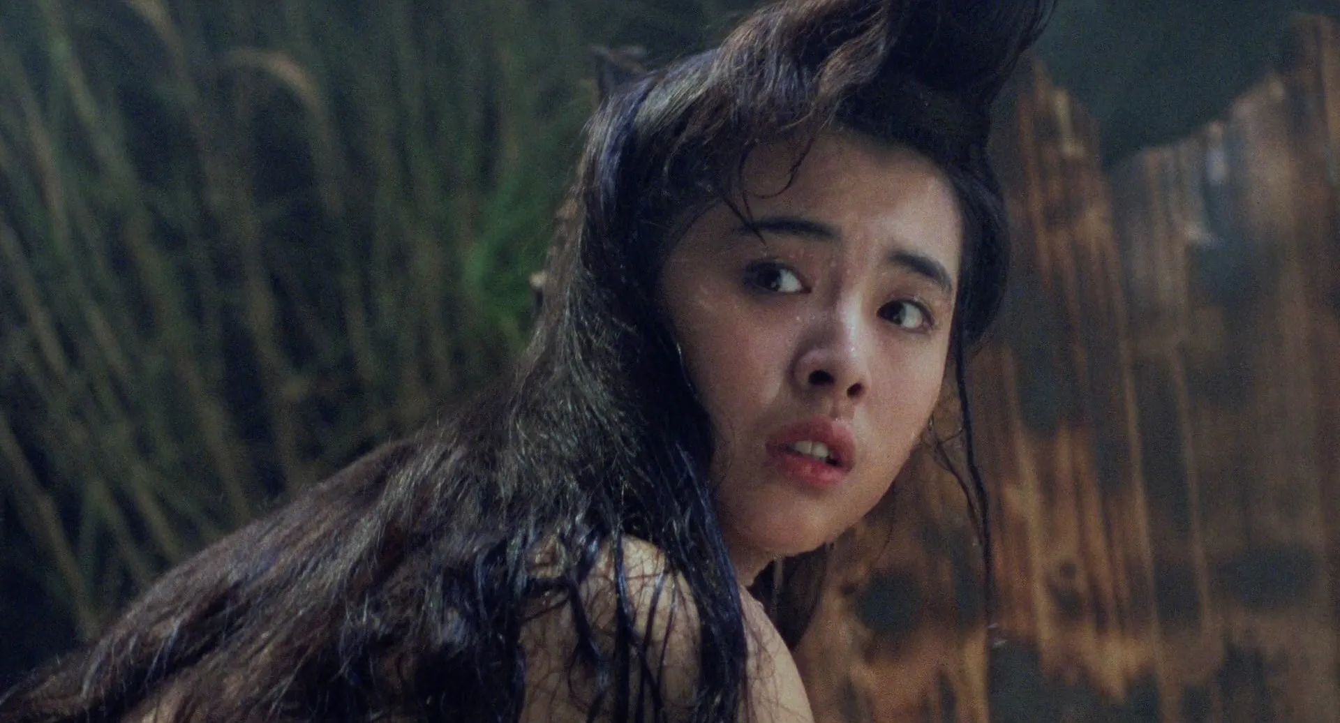 Sien lui yau wan II: Yan gaan dou / A Chinese Ghost Story II (1990)
