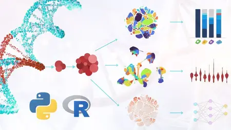 Learn Single-Cell RNA-seq Data Analysis using R and Python