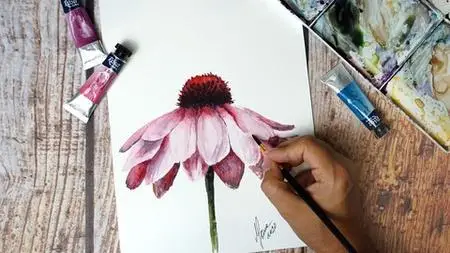 Watercolor Daisy: Paint a Realistic Pink Flower Step by Step