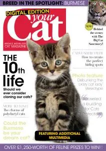 Your Cat - November 2019