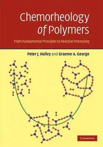 Chemorheology of Polymers: From Fundamental Principles to Reactive Processing