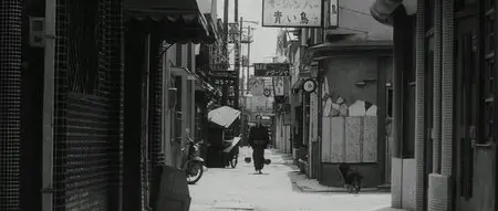 Pale Flower (1964) / Kawaita hana (original title)