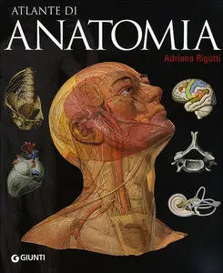 Atlante di Anatomia (2012)