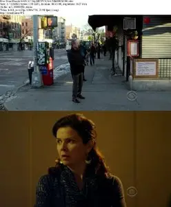 Blue Bloods S01E14