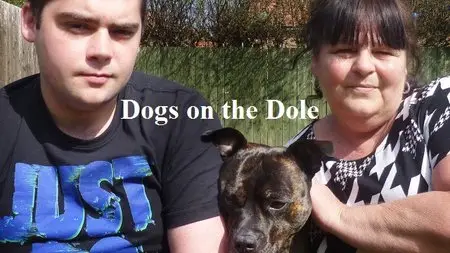 Channel 4 - Dogs on the Dole (2015)