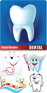 Stock Vectors - Dental